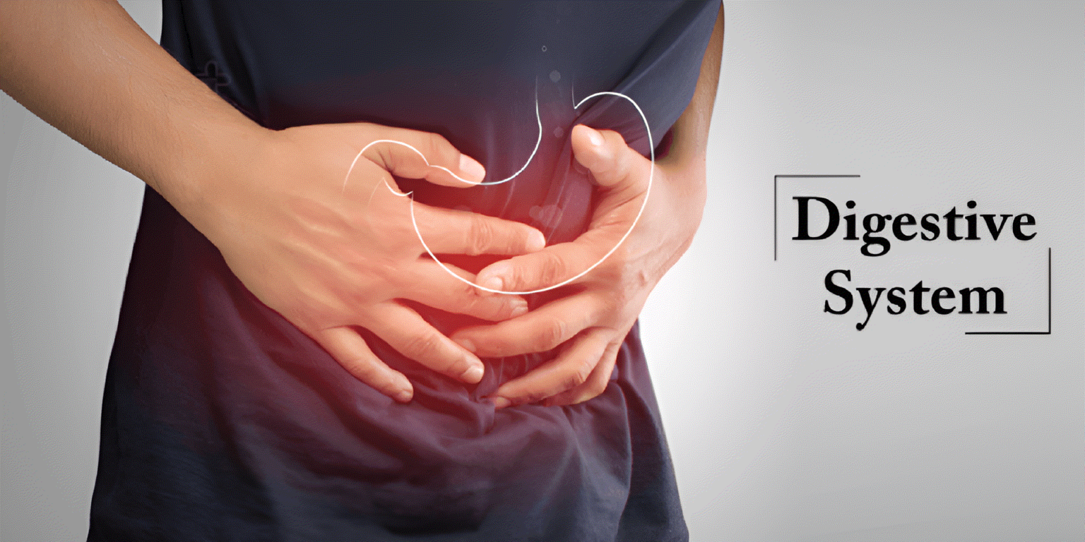 digestive system and yoga effect on it